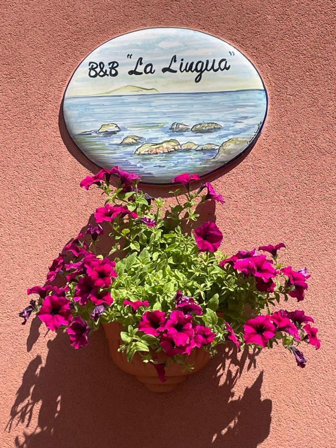 بروسيدا B&B La Lingua المظهر الخارجي الصورة